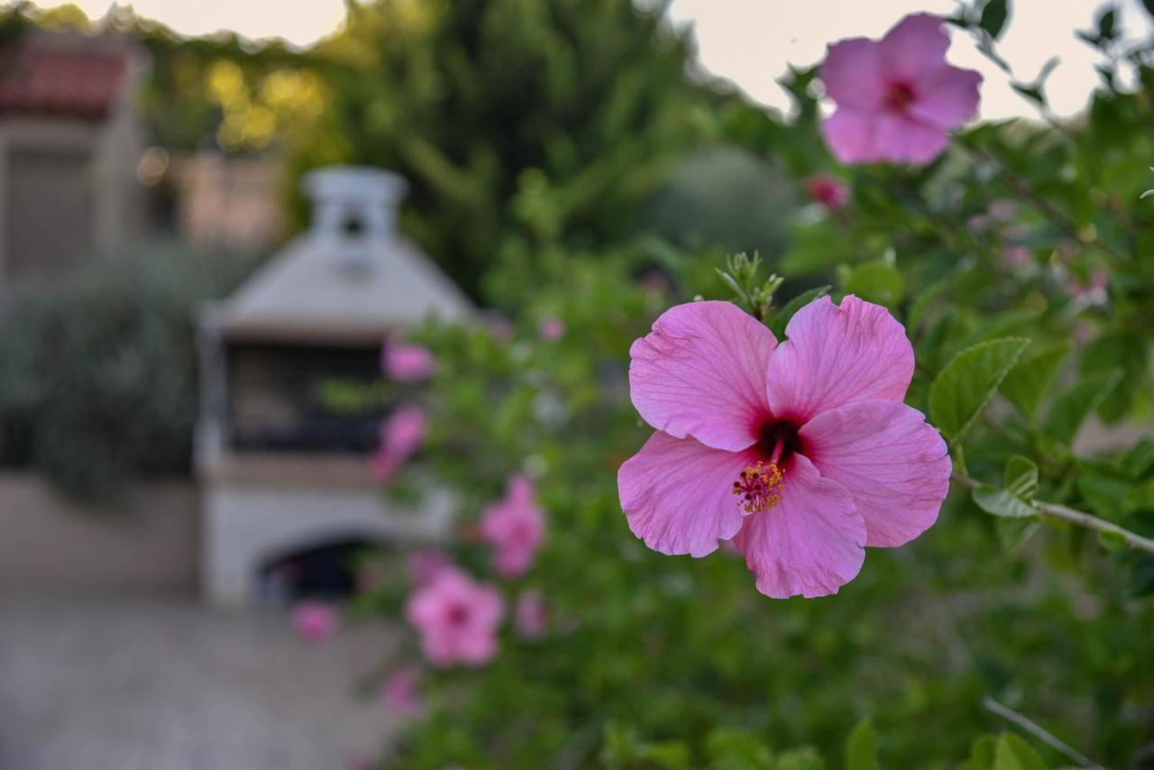 Villabayviewcrete Hersonissos  Exteriör bild